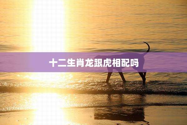 十二生肖龙跟虎相配吗