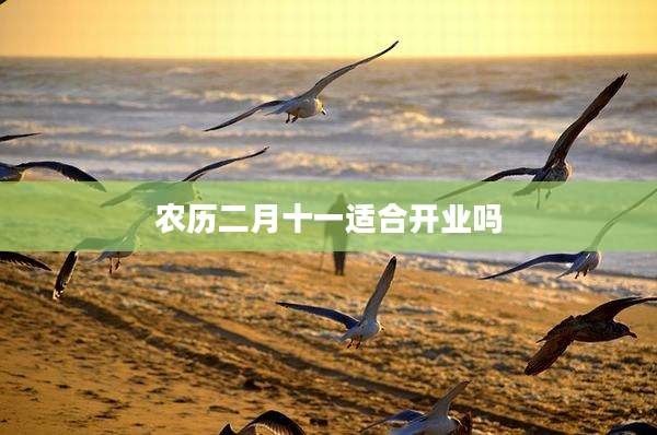 农历二月十一适合开业吗