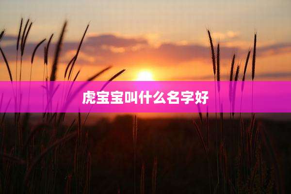 虎宝宝叫什么名字好