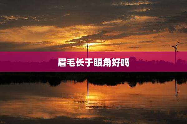 眉毛长于眼角好吗