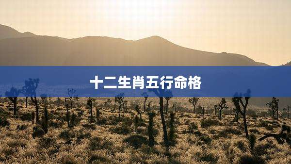 十二生肖五行命格