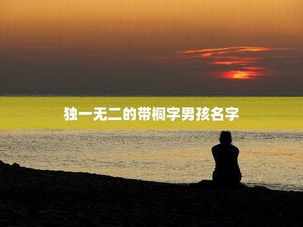 独一无二的带桐字男孩名字