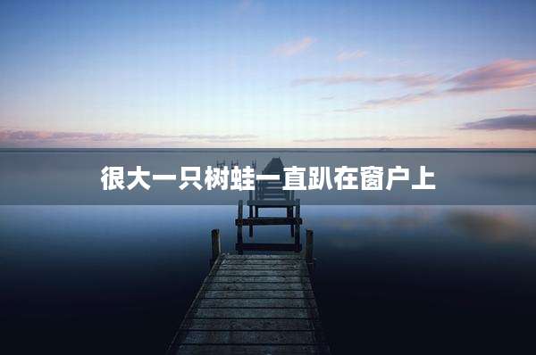 很大一只树蛙一直趴在窗户上
