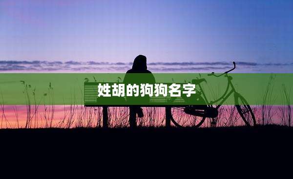 姓胡的狗狗名字