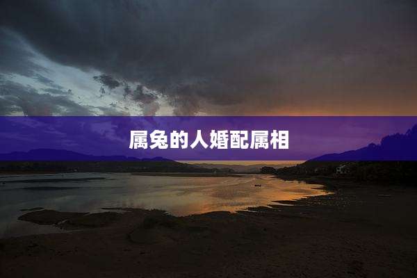 属兔的人婚配属相
