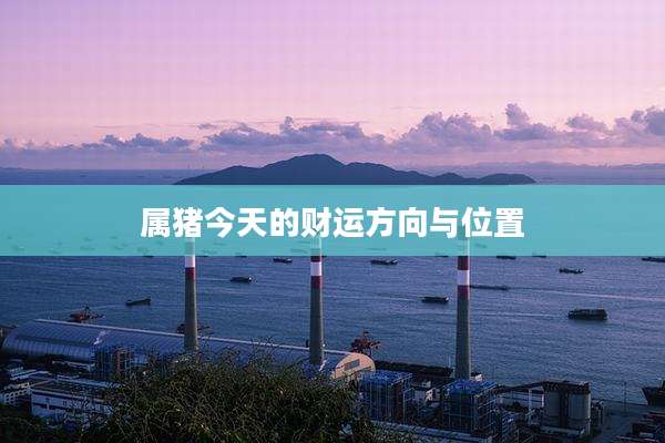 属猪今天的财运方向与位置