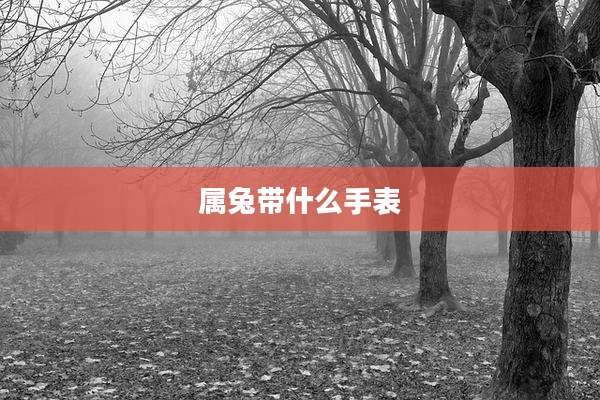 属兔带什么手表