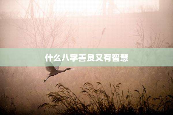 什么八字善良又有智慧