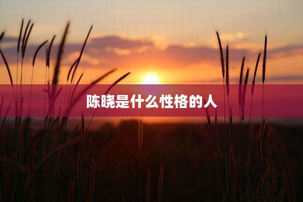 陈晓是什么性格的人