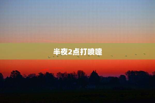半夜2点打喷嚏