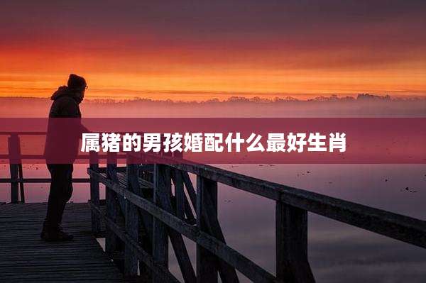 属猪的男孩婚配什么最好生肖
