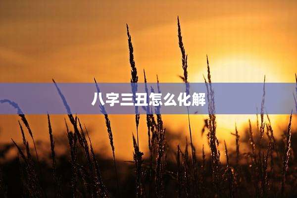 八字三丑怎么化解