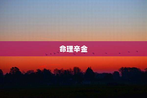 命理辛金