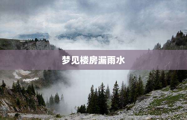 梦见楼房漏雨水