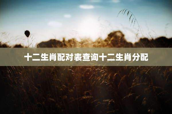 十二生肖配对表查询十二生肖分配