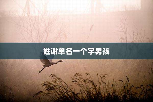 姓谢单名一个字男孩