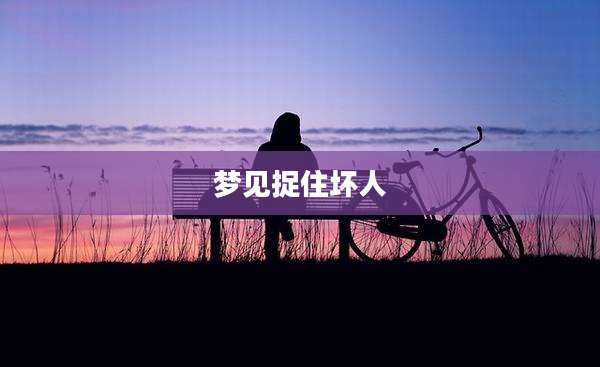 梦见捉住坏人