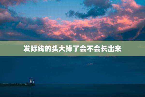 发际线的头大掉了会不会长出来