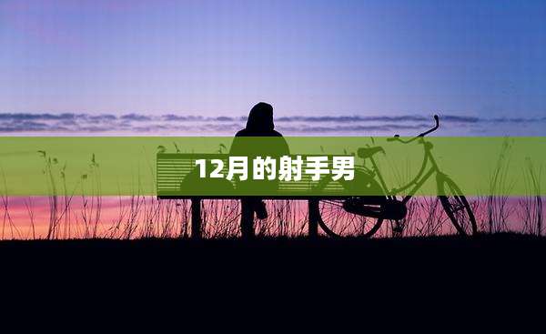 12月的射手男
