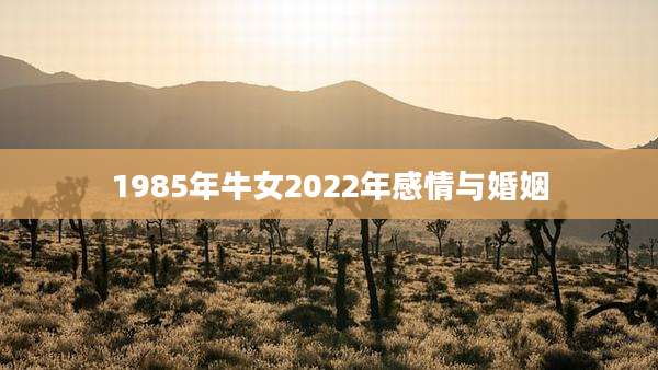 1985年牛女2022年感情与婚姻
