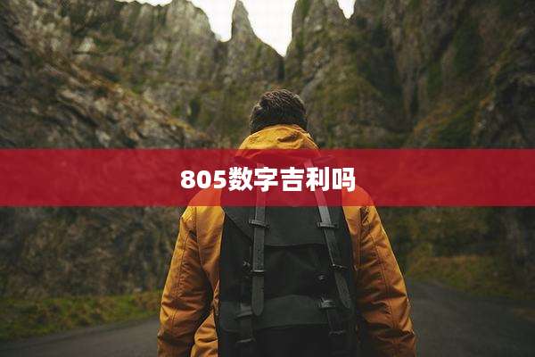805数字吉利吗