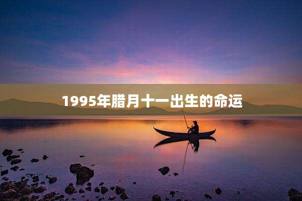 1995年腊月十一出生的命运