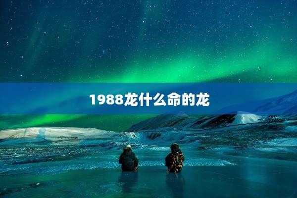 1988龙什么命的龙