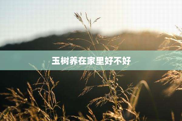 玉树养在家里好不好