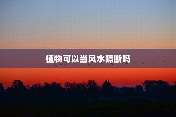 植物可以当风水隔断吗