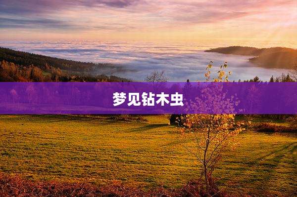 梦见钻木虫