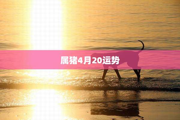 属猪4月20运势