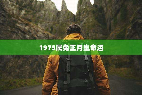 1975属兔正月生命运