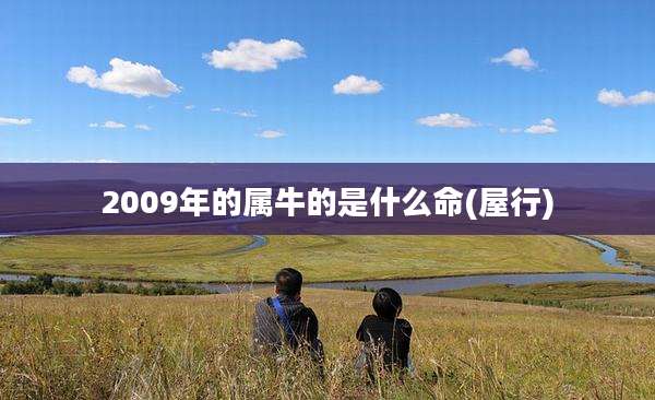 2009年的属牛的是什么命(屋行)