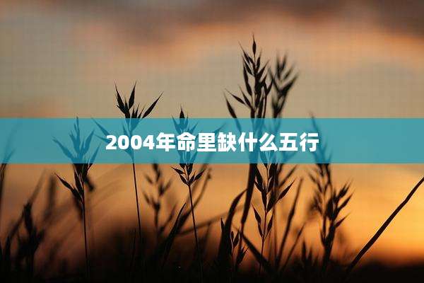 2004年命里缺什么五行