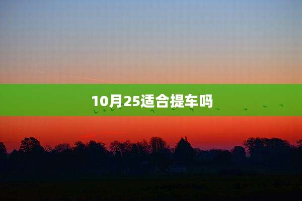 10月25适合提车吗