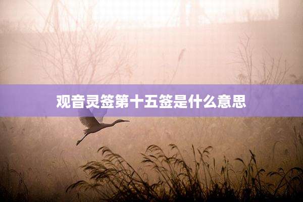 观音灵签第十五签是什么意思