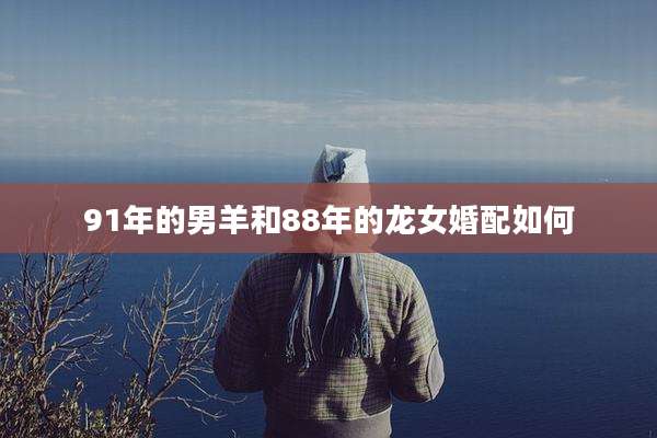 91年的男羊和88年的龙女婚配如何