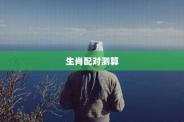 生肖配对测算