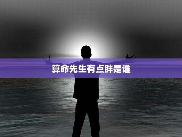 算命先生有点胖是谁