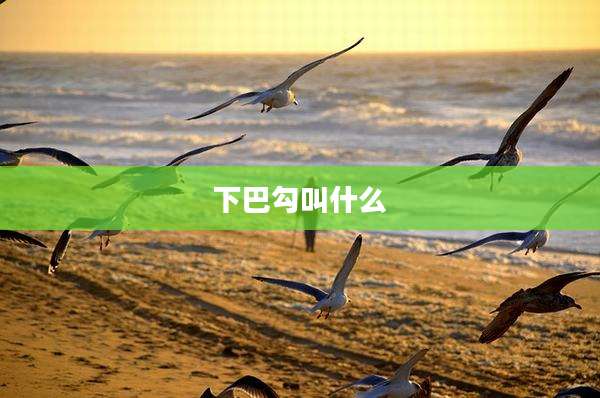 下巴勾叫什么