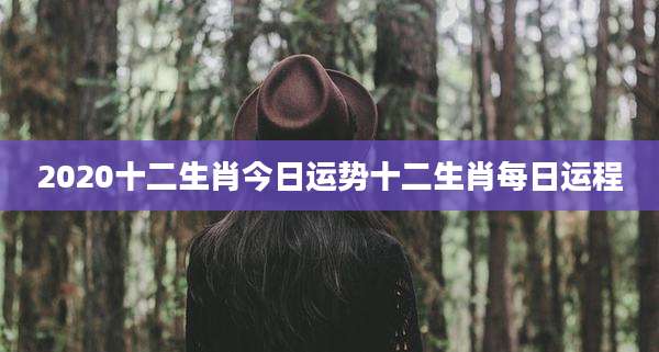 2020十二生肖今日运势十二生肖每日运程