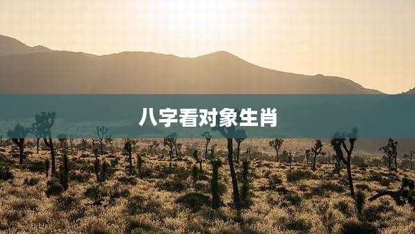八字看对象生肖