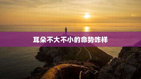 耳朵不大不小的命势咋样
