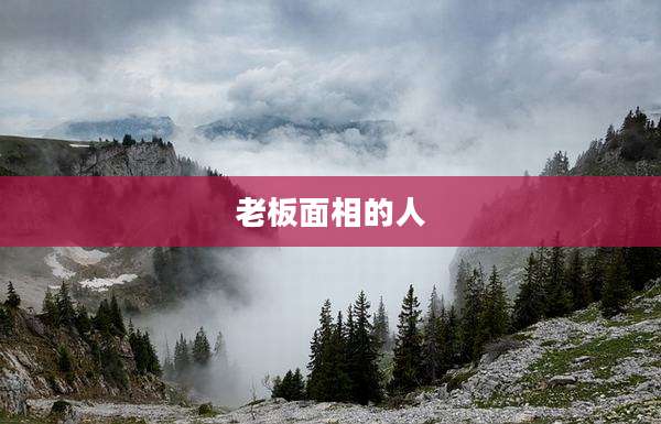 老板面相的人
