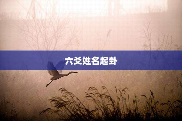 六爻姓名起卦