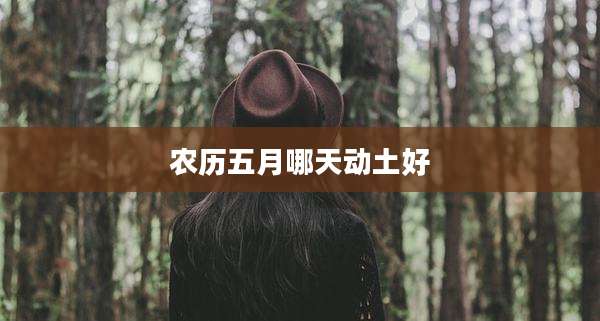 农历五月哪天动土好