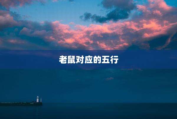 老鼠对应的五行