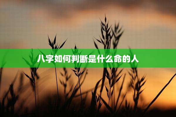 八字如何判断是什么命的人