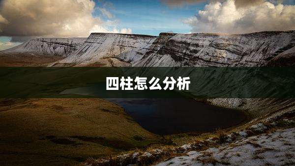 四柱怎么分析