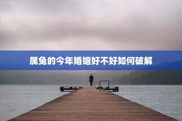 属兔的今年婚姻好不好如何破解